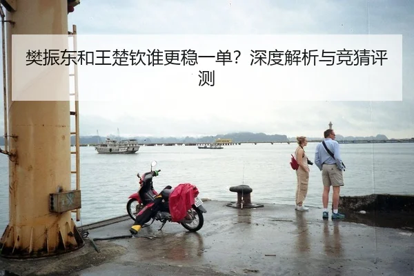 樊振东和王楚钦谁更稳一单？深度解析与竞猜评测